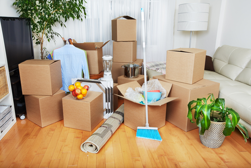 move in out cleaning services crown point in crown point in